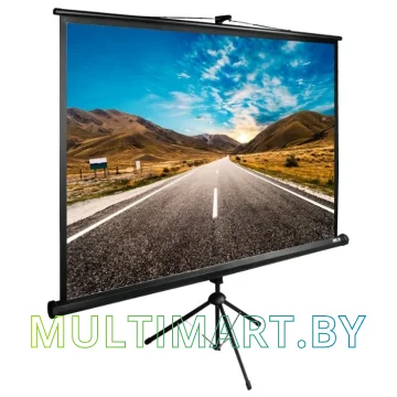 Проекционный экран CACTUS TriExpert 160x160 (CS-PSTE-160x160-BK)